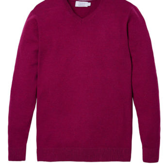 Berry V-Neck cotton jumper Wool