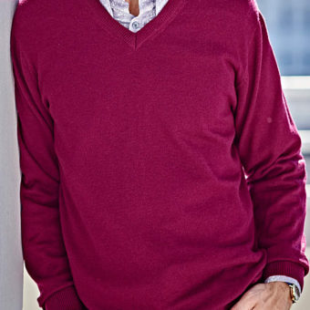 Berry V-Neck cotton jumper Wool